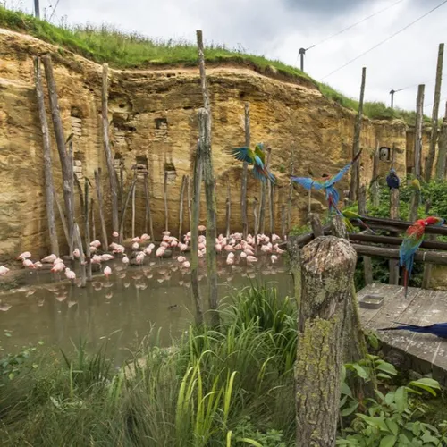 JOURNAL DU SAMEDI 27 DECEMBRE