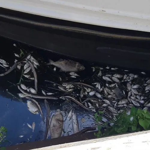 JOURNAL DU VENDREDI 09 SEPTEMBRE ( MIDI )