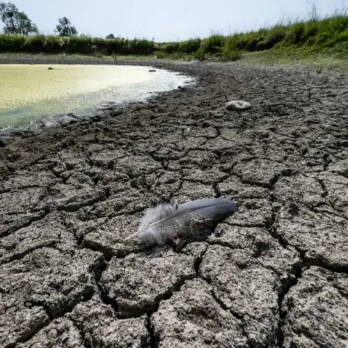 Journal du samedi 30 juillet