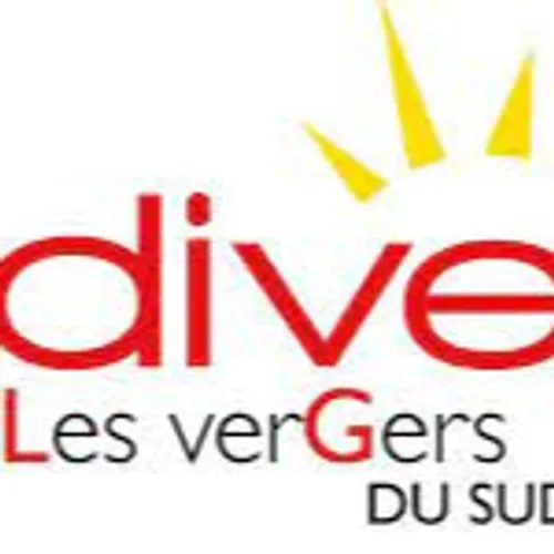 JOURNAL DU LUNDI 15 NOVEMBRE ( MIDI )