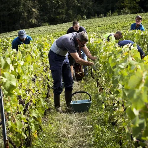 JOURNAL DU VENDREDI 10 SEPTEMBRE ( MIDI )