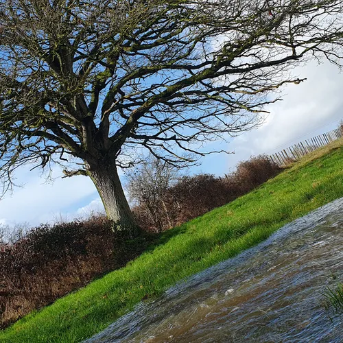 Les couleurs du bocage