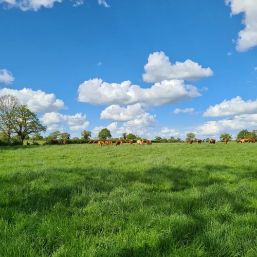 Les nuages ne tombent pas