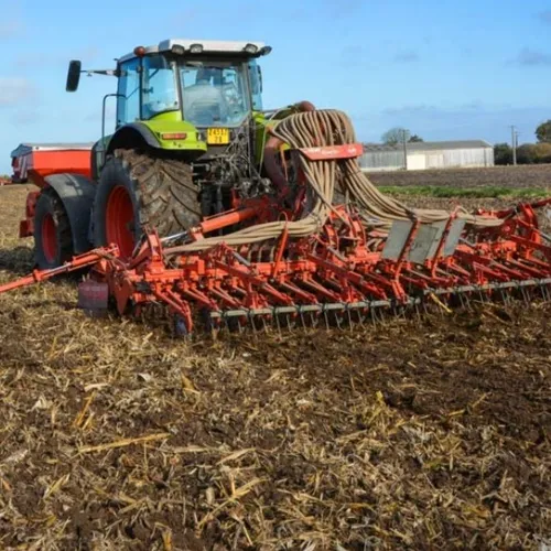 Semis d'automne, c'est parti !