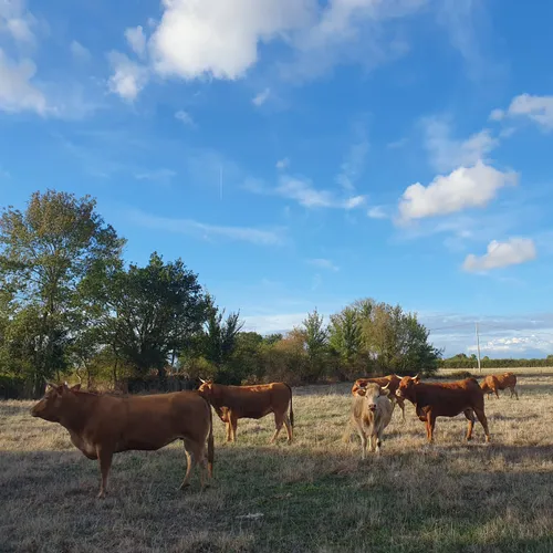Attention à nos prairies !