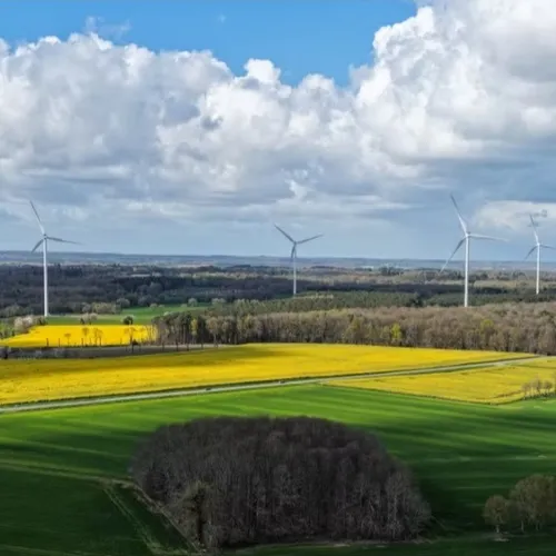 Face à la géopolitique, colza et tournesol, même combat !