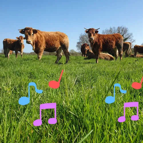 Nos campagnes en musique 