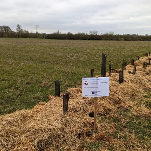 Les haies sont sur un chemin compliqué