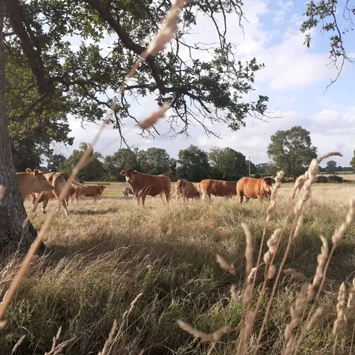 Bel été à vous dans notre bocage !