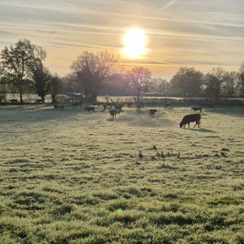 Prédire les signes du froid avec nos dictons !