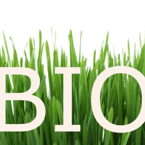 Le Bio à la relance