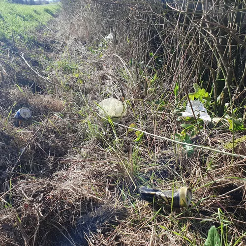 Le plastique ce n'est pas toujours fantastique ! 