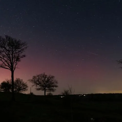 Journal du mardi 28 février (midi)
