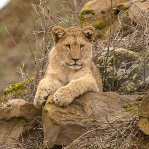 Journal du lundi 02 janvier (midi)