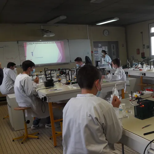 Journal du lundi 29 novembre (soir)