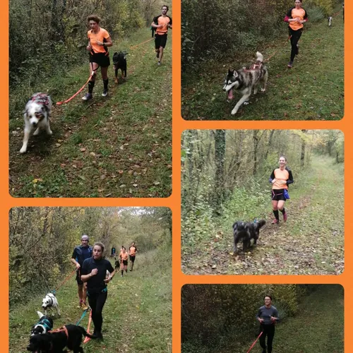 Journal du lundi 13 novembre (soir)