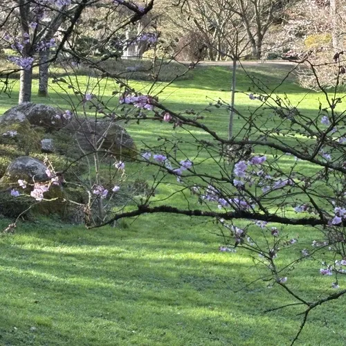 Journal jeudi 13 mars (midi)