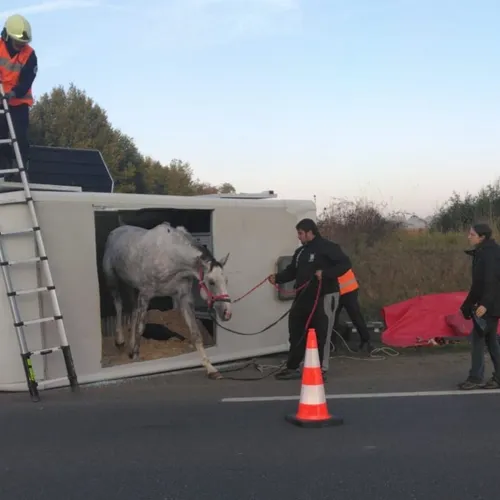 Journal du mardi 30 septembre (midi)