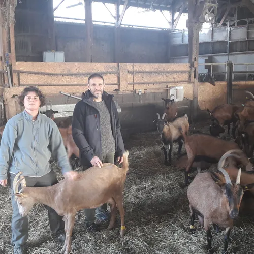 Journal du vendredi 3 décembre