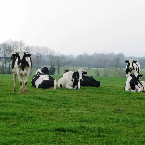 Journal du mardi 13 décembre (soir)