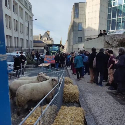 Journal du jeudi 15 février (midi)