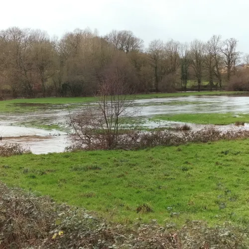 Journal du jeudi 11 janvier (soir)