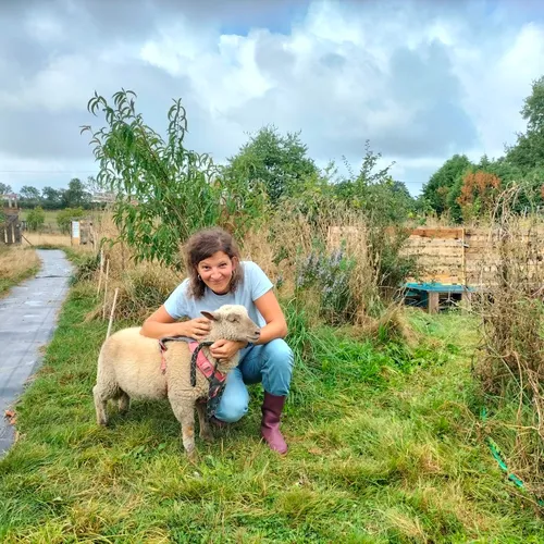 Journal du mardi 02 septembre (midi)