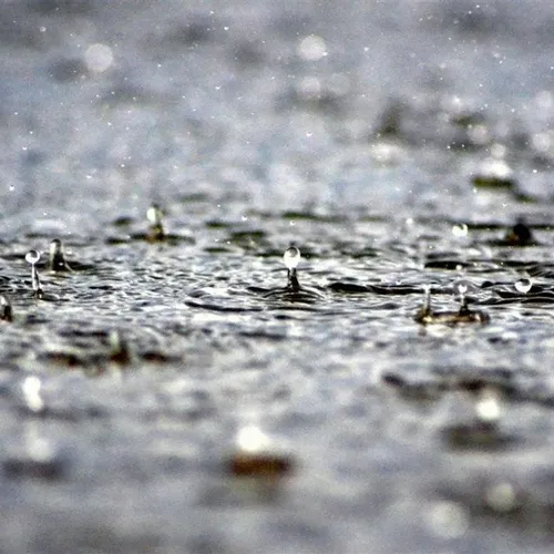 Journal du vendredi 25 juin (matin)