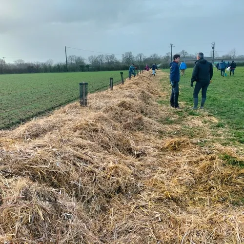 Journal du samedi 31 janvier