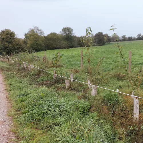 Journal du mardi 22 octobre (midi)