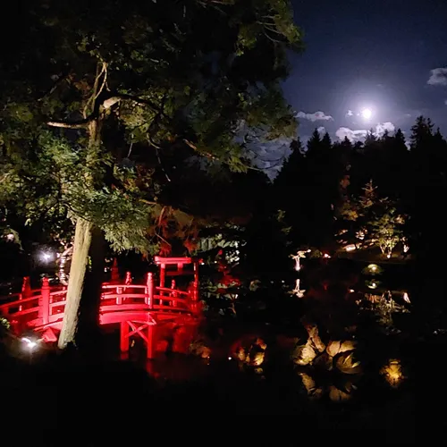 JOURNAL DU SAMEDI 24 AOÛT