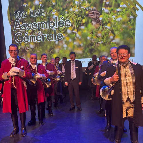 Journal du jeudi 17 avril (soir)