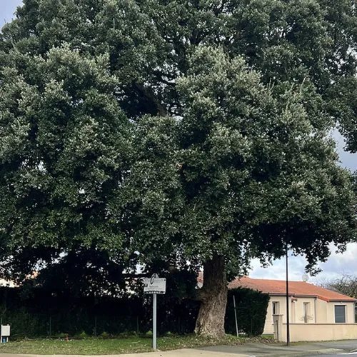 Journal du lundi 22 avril (soir)