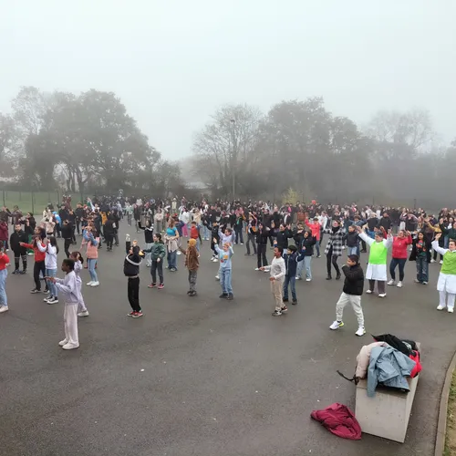 Journal du jeudi 7 novembre (soir)