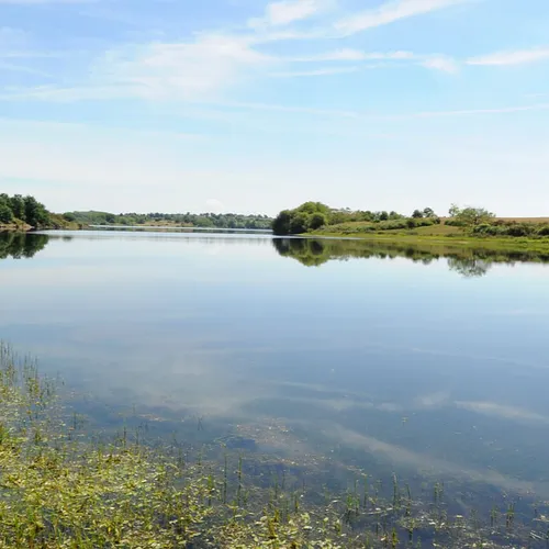 Journal du jeudi 05 janvier (midi)