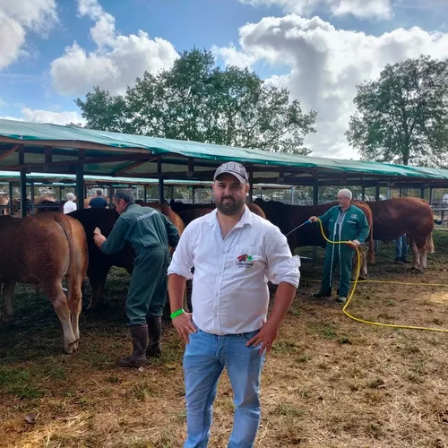 COLLINES LA RADIO
