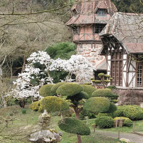 Journal du mercredi 13 mars (soir)