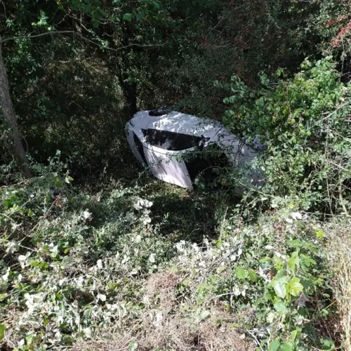 Journal du jeudi 28 août (soir)