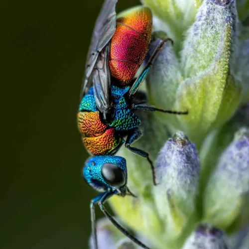 Journal du mercredi 26 juillet (matin)