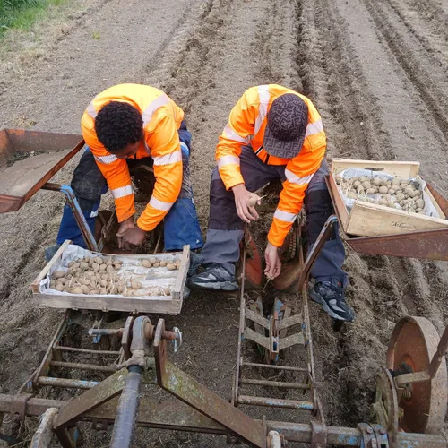 Journal du mardi 10 juin (midi)
