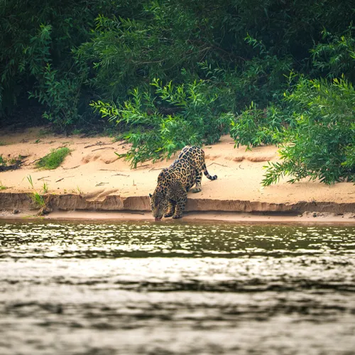 Journal du jeudi 02 octobre (midi)