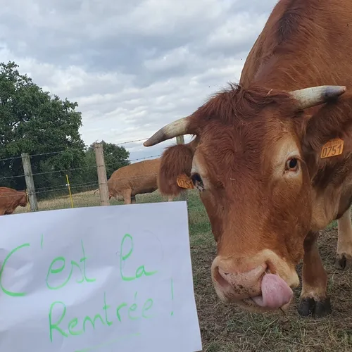 Rétro sur l'été 2025