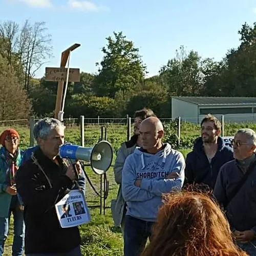 Journal du samedi 12 novembre