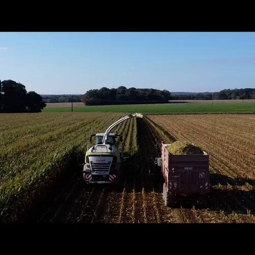 Journal du vendredi 16 janvier (midi)