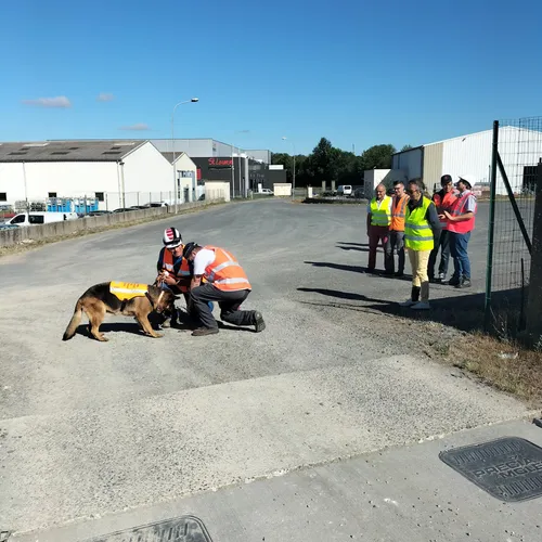 Journal du lundi 11 juillet (midi)