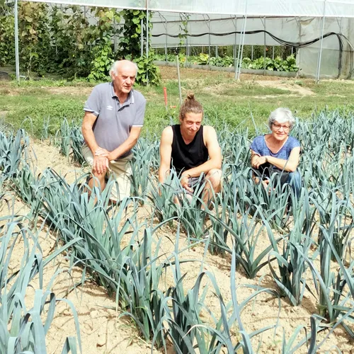 Journal du lundi 11 septembre (midi)