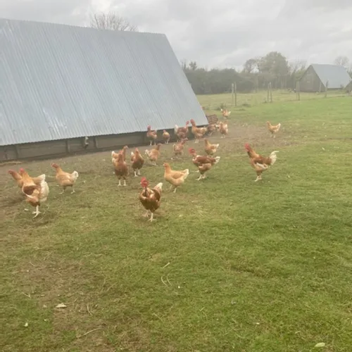 Journal du mardi 16 novembre (soir)