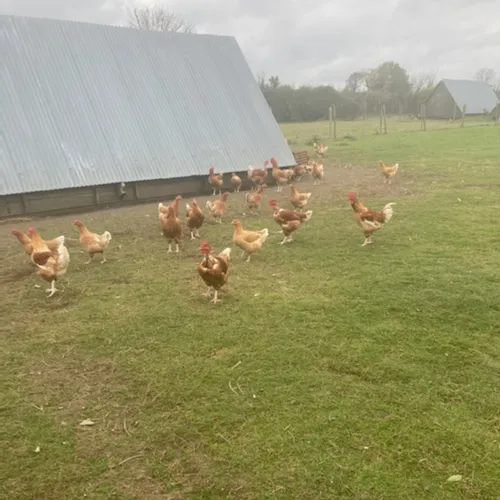 Journal du mardi 29 mars (midi)