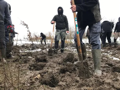Changement climatique - Des lycéens créént une Forêt Miyawaki à...