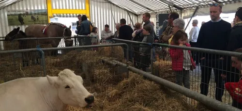 Aulnoye-Aymeries - Le Salon des Saveurs et du Tourisme, l'occasion...